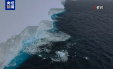 
        		全球最大冰山加速解体 或撑不过2025年11月底 ！	