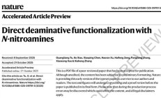登上 Nature，国科大团队颠覆工业领域 140 年传统工艺