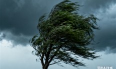 
        		“桦加沙”风眼相当于三个香港：从太空俯瞰相当震撼 !	