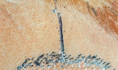 浩瀚的中东沙漠中 有一串“绿宝石”