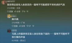 
        		青海一动物园狸花猫误入虎园被咬死 园方回应：非人为携带 !	