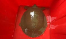 
        		广东渔民捕到“水中大熊猫”：国家一级重点保护动物韩江鼋 ！	