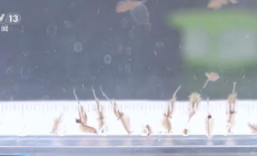 
        		新疆沙漠首次发现盐水丰年虾：是地球上现存较为古老的物种之一 ！	