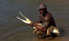 
        		网红徒手抓鳄鱼被痛批“虐待动物”：最多可被罚12.25万元 !	