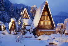 山东公安公布典型案例!涉枣庄1起