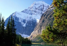 山东公安公布典型案例！涉枣庄1起