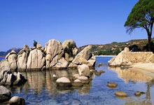 滕州张某某骑电车闯红灯被撞,负全责!视频→